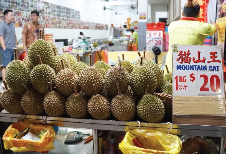 Singapore Food Durian